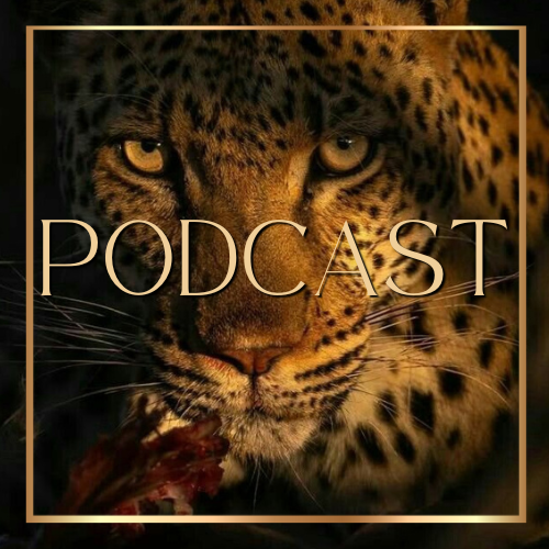 Cash & Cocktails Podcast